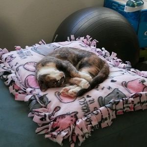 Meet your Posher, Alexa